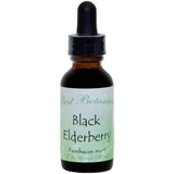 Black Elderberry Extract
